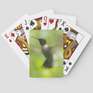 Baraja De Cartas Male Ruby Throat Hummingbird