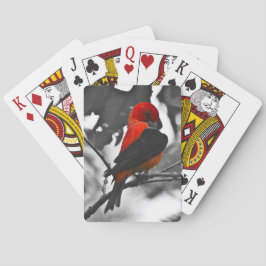 Baraja De Cartas Male Scarlet Tanager