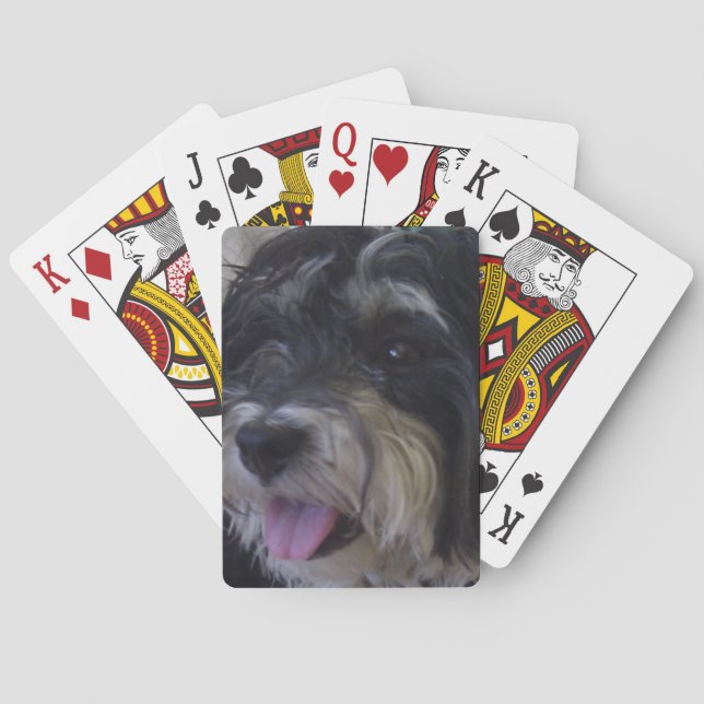 Baraja De Cartas maltipoo pack of cards (Reverso)