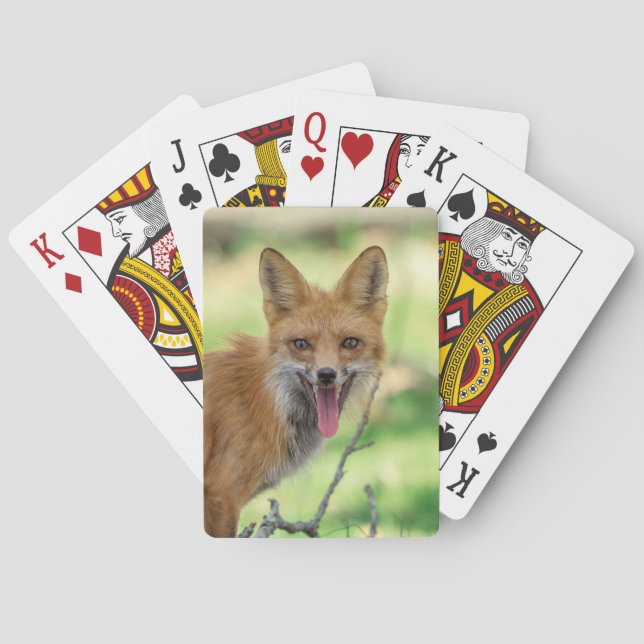Baraja De Cartas Mama Fox en el Valle de Hudson (Reverso)