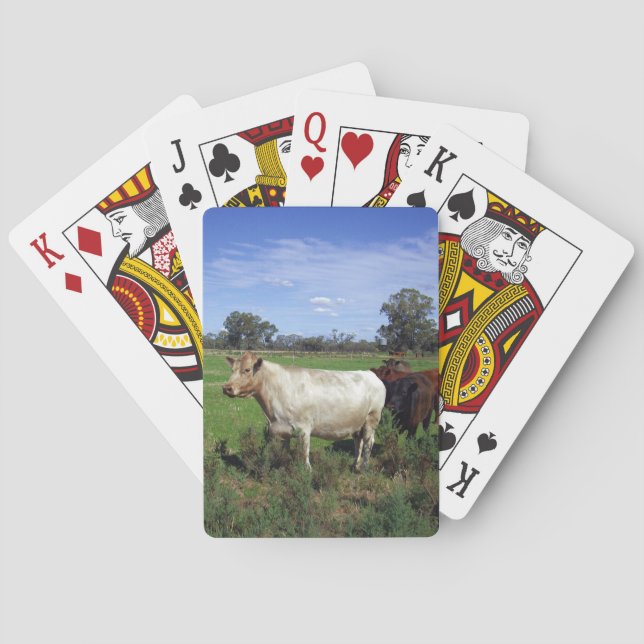 Baraja De Cartas Manada de vaca blanca, (Reverso)