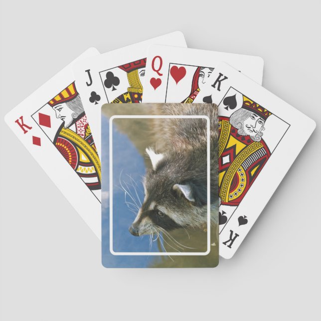Baraja De Cartas Mapache (Reverso)