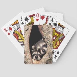 Baraja De Cartas Mapaches Bebés Asomándose desde un Árbol