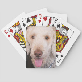 Baraja De Cartas Mareado