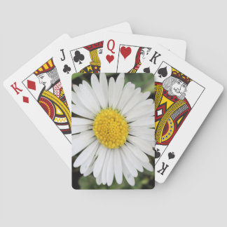 Baraja De Cartas Margarita