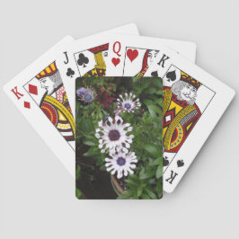 Baraja De Cartas Margarita africana blanca