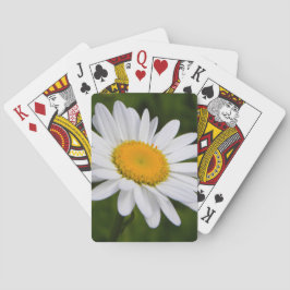 Baraja De Cartas Margarita en la floración