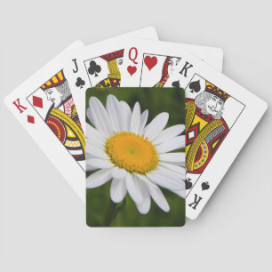 Baraja De Cartas Margarita en la floración