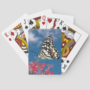Baraja De Cartas Mariposa