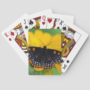 Baraja De Cartas Mariposa a cuadros del punto de Baltimore