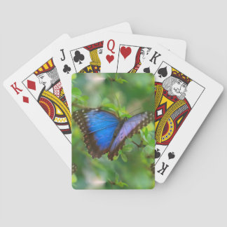 Baraja De Cartas Mariposa azul