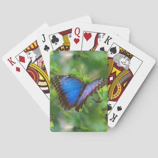 Baraja De Cartas Mariposa azul (Reverso)