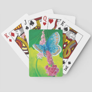 Baraja De Cartas Mariposa azul Chapmans (tersidades Polyommatus)