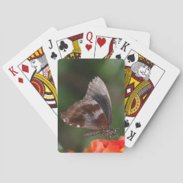 Baraja De Cartas Mariposa blanca y marrón en flor roja