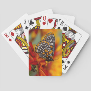 Baraja De Cartas Mariposa de Baltimore de cuadros