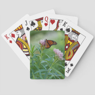 Baraja De Cartas Mariposa de monarca