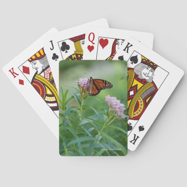Baraja De Cartas Mariposa de monarca (Reverso)