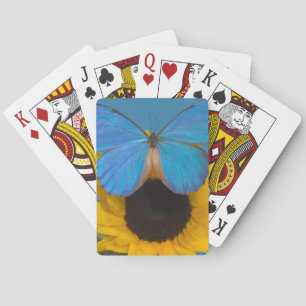Baraja De Cartas Mariposa en Girasol