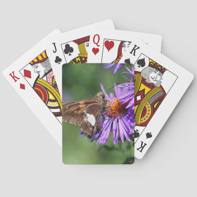 Baraja De Cartas Mariposa En La Naturaleza De La Flor De Aster Púrp (Reverso)