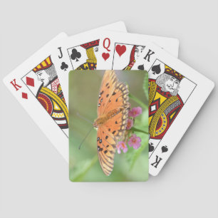 Baraja De Cartas Mariposa en una flor encontrada en un parque local