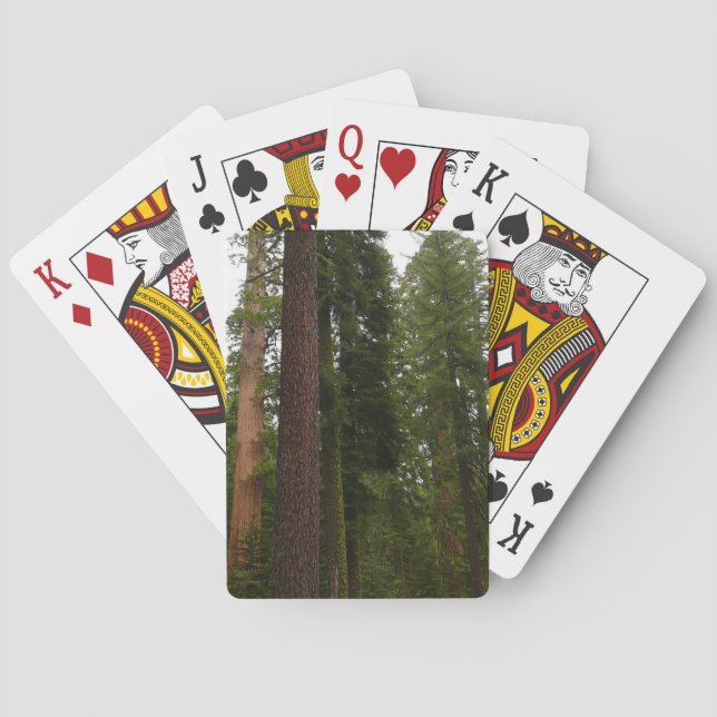 Baraja De Cartas Mariposa Grove en el Parque Nacional Yosemite (Reverso)