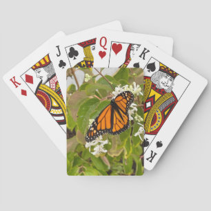 Baraja De Cartas Mariposa monarca