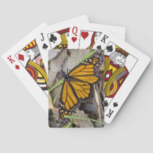Baraja De Cartas Mariposa monarca