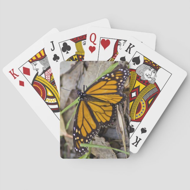 Baraja De Cartas Mariposa monarca (Reverso)