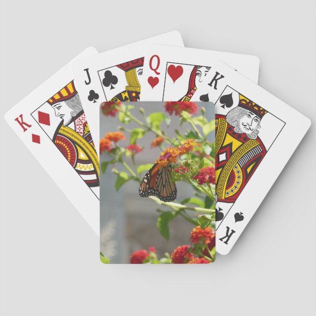 Baraja De Cartas Mariposa Monarca en Buddleja Roja (Reverso)