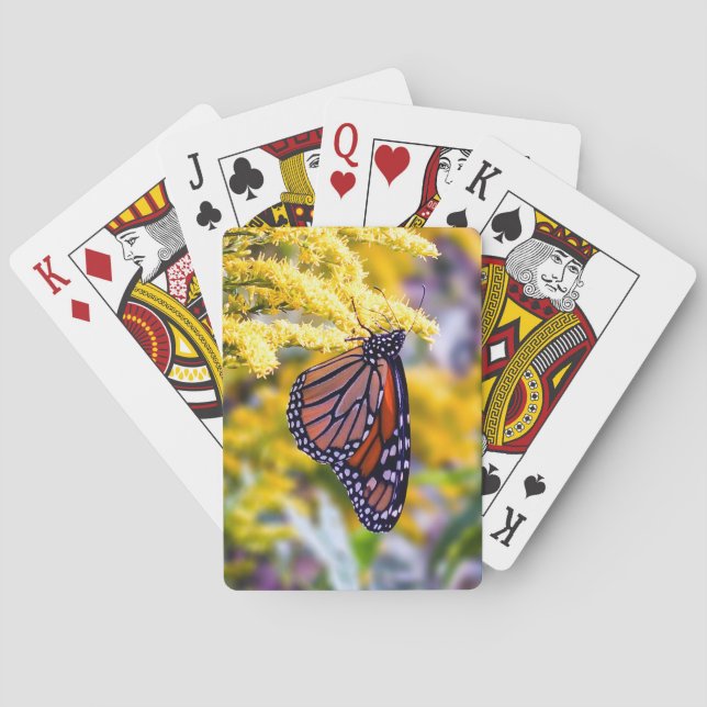 Baraja De Cartas Mariposa monarca en las tarjetas de juego Goldenro (Reverso)
