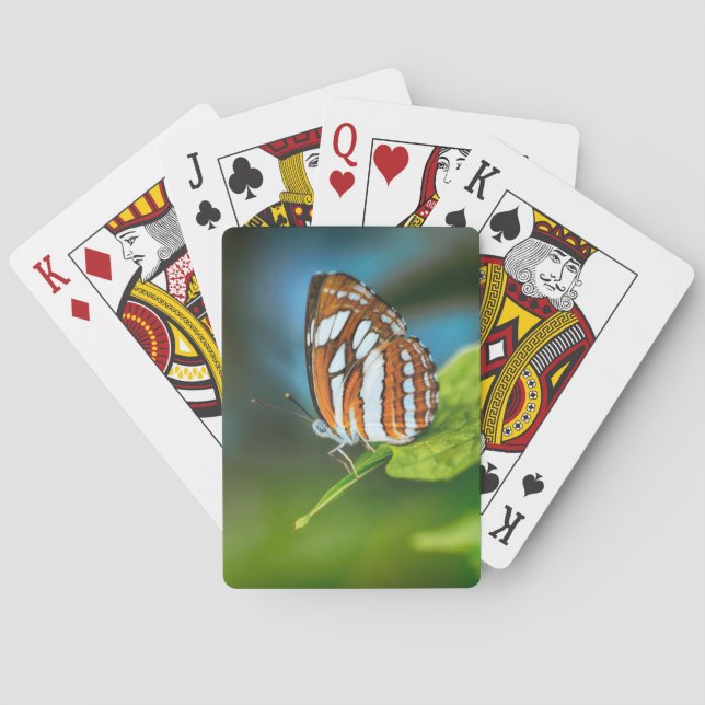 Baraja De Cartas Mariposa rayada blanca y Naranja (Reverso)