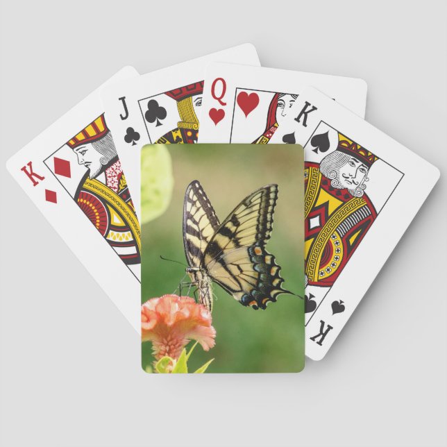 Baraja De Cartas Mariposa Swallowtail del Tigre del Este (Reverso)