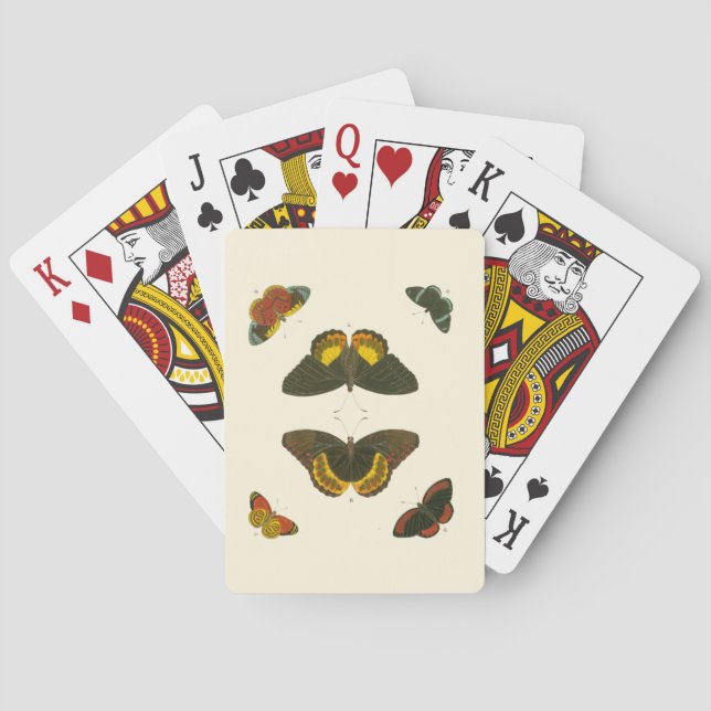Baraja De Cartas Mariposas brillantes por Pieter Cramer (Reverso)