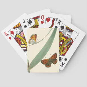 Baraja De Cartas Mariposas coloridas que agitan alrededor de una