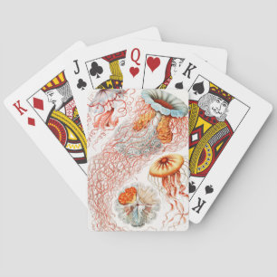 Baraja De Cartas Marisco, Discomedusae de Ernst Haeckel