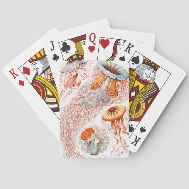 Baraja De Cartas Marisco, Discomedusae de Ernst Haeckel (Reverso)