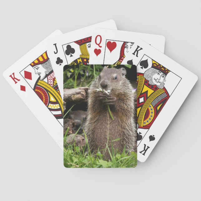 Baraja De Cartas Marmota comiendo una flor (Reverso)