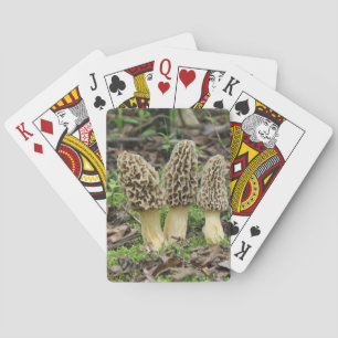 Baraja De Cartas Más Morels