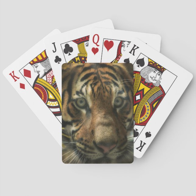 BARAJA DE CARTAS MASA DE TIGRE CERO (Reverso)