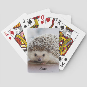 Baraja De Cartas Mascota Hedgehog