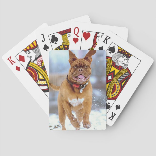 Baraja De Cartas Mastiff Plus (Reverso)