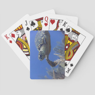 Baraja De Cartas Mazo de Poker de Tortuga