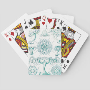 Baraja De Cartas Medusas, Discomedusae por Ernst Haeckel
