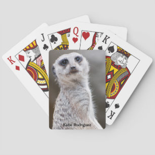 Baraja De Cartas Meerkat te mira
