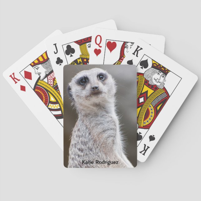 Baraja De Cartas Meerkat te mira (Reverso)