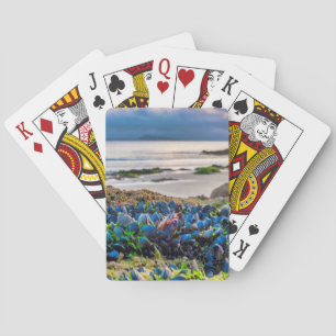 Baraja De Cartas Mejillones