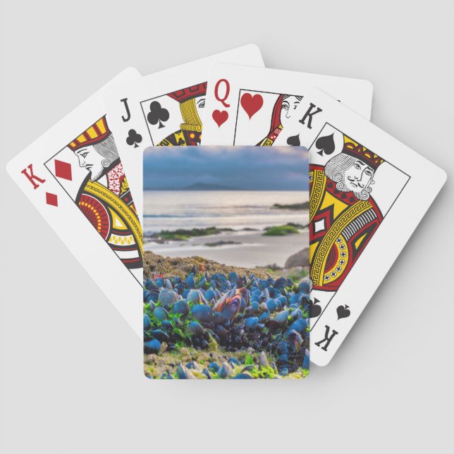 Baraja De Cartas Mejillones (Reverso)