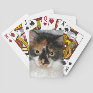 Baraja De Cartas MeMeow