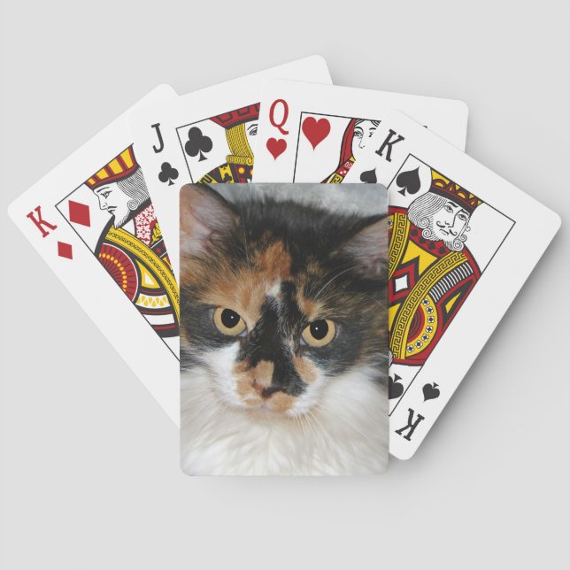 Baraja De Cartas MeMeow (Reverso)
