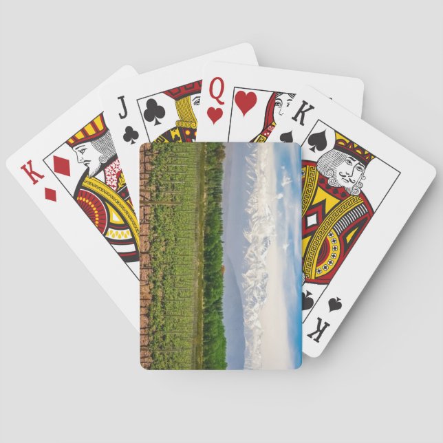 Baraja De Cartas Mendoza, Argentina (Reverso)